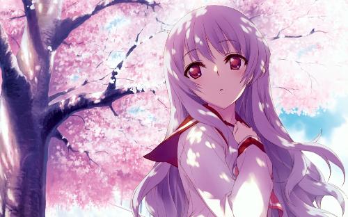 鬼灭之刃 锻刀村篇 票房
